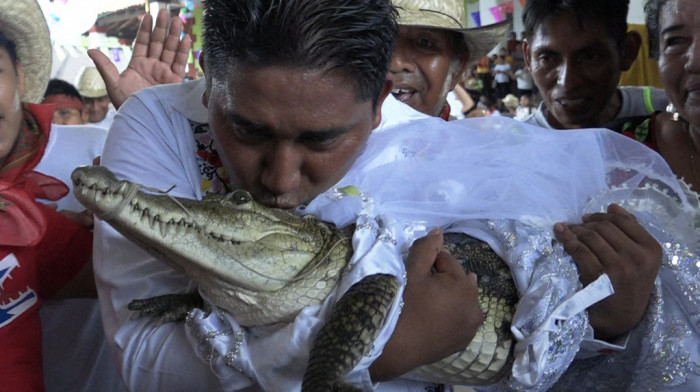 Gradonačelnik u Meksiku venčao se sa ženkom kajmana: "Slavimo zajednicu dve kulture, ljudi su zadovoljni"