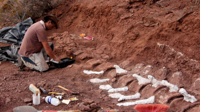 Otkrivena nova vrsta dinosaurusa u Argentini: Dvonožni reptil živeo pre 90 miliona godina