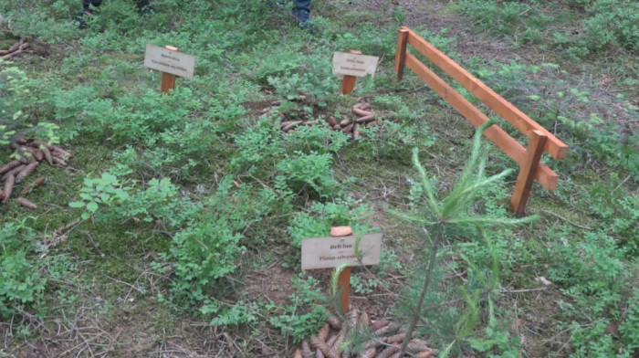 Turizam u službi relaksacije i zdravlja: Na Zlataru niče pet novih mini-botaničkih bašti lekovitog bilja