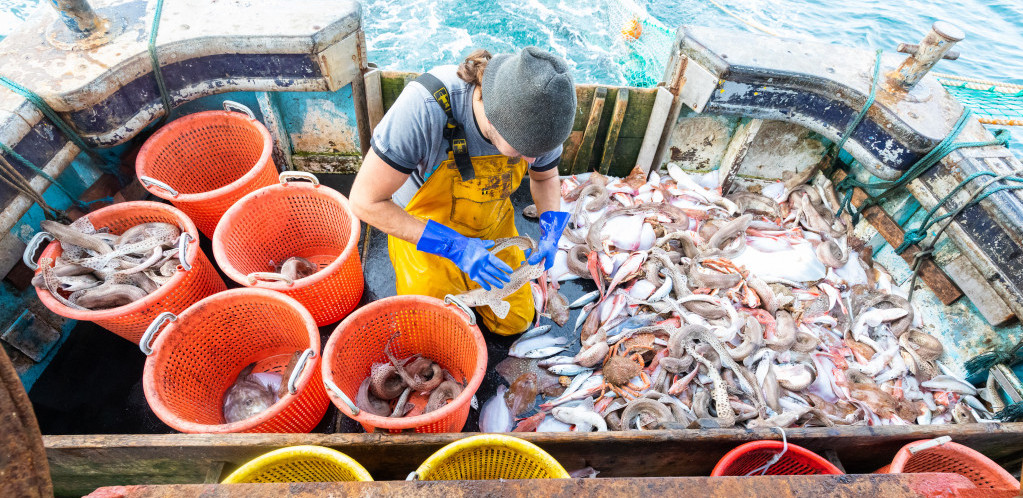 Razgovor Velike Britanije i Francuske oko prava na ribolov nastavlja se sutra