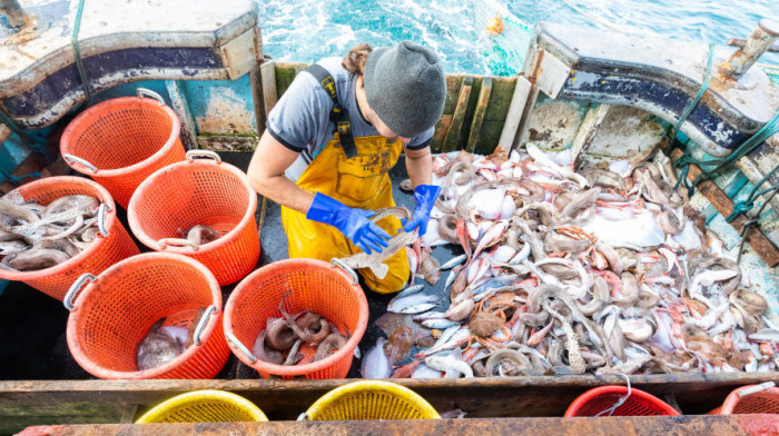 Razgovor Velike Britanije i Francuske oko prava na ribolov nastavlja se sutra