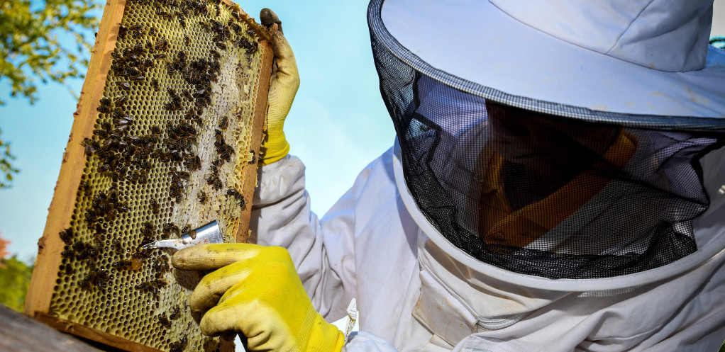 Analiza Evropske komisije: Skoro polovina meda uvezenog u EU je lažna