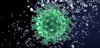 "Nijedan soj virusa korona ne može ozbiljno uticati na tok bolesti ili epidemije"