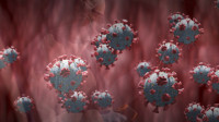 Novi soj koronavirusa sa mnoštvom mutacija potvrđen u tri države
