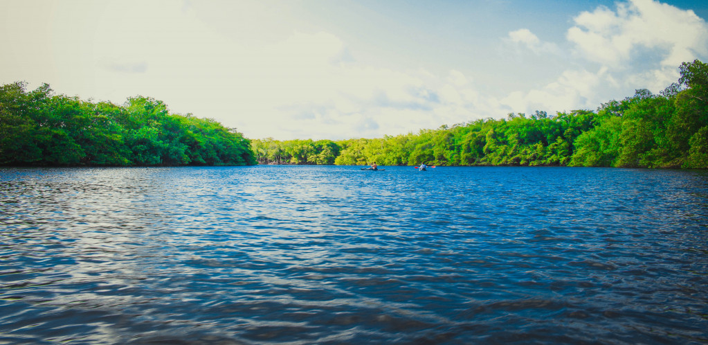 NVO traže povlačenje predloženog zakona o vodama: Izmene propisa predviđaju i neposrednu pogodbu