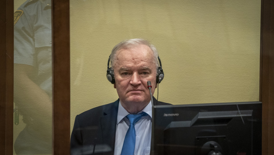 "Biće korisno izdvojeno mišljenje sudije Nijambe": Sin Ratka Mladića najavio reviziju presude generalu