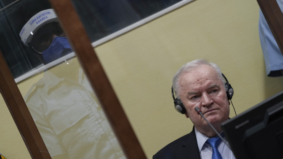 Vujić: Spremni da damo dodatne garancije za puštanje Mladića, to nije pitanje politike