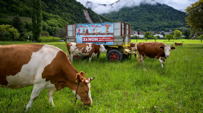 Referendum u Švajcarskoj: Građani se izjašnjavaju o nizu tema, u fokusu potpuna zabrana pesticida
