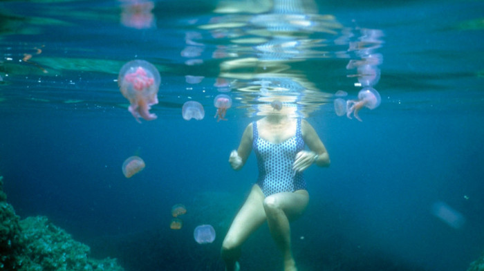 Na hrvatskom primorju uočena mala, ali opaka meduza - ovako izgleda postupak prve pomoći