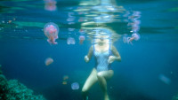 Na hrvatskom primorju uočena mala, ali opaka meduza - ovako izgleda postupak prve pomoći