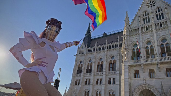 Mađarska kaznila sa 700€ izdavača zbog dečje knjige u kojoj se prikazuju LGBT roditelji - za sutra najavljen novi protest
