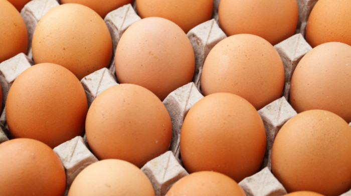 Srbija po prvi put izvozi sveža jaja u Albaniju