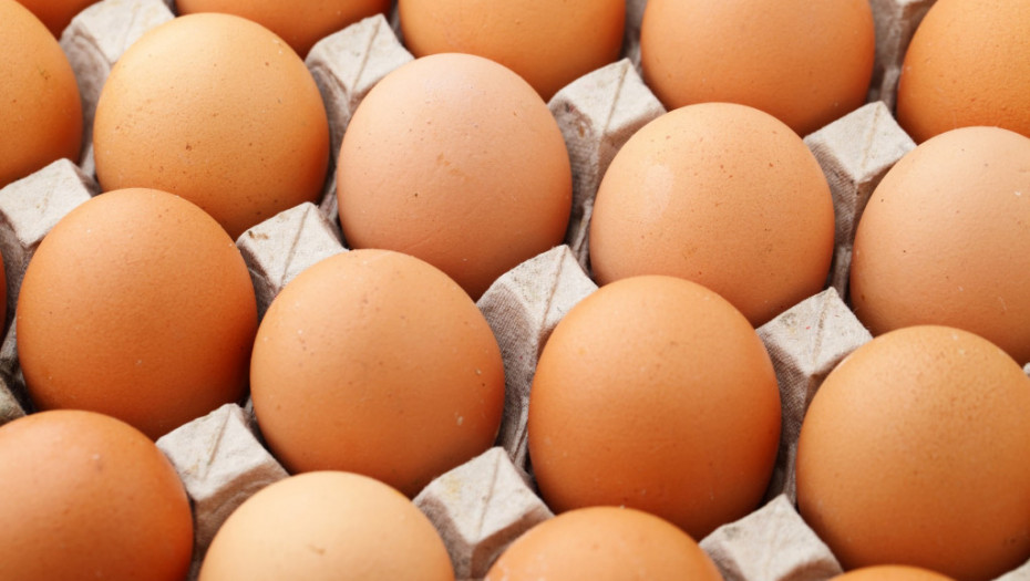 Srbija po prvi put izvozi sveža jaja u Albaniju