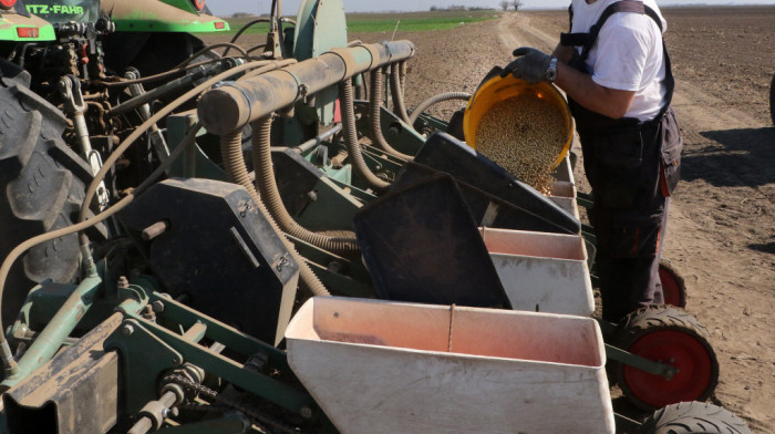 Urea poskupela više od 200 odsto - enormni rast cena veštačkog đubriva širom sveta ugrožava prehrambenu sigurnost