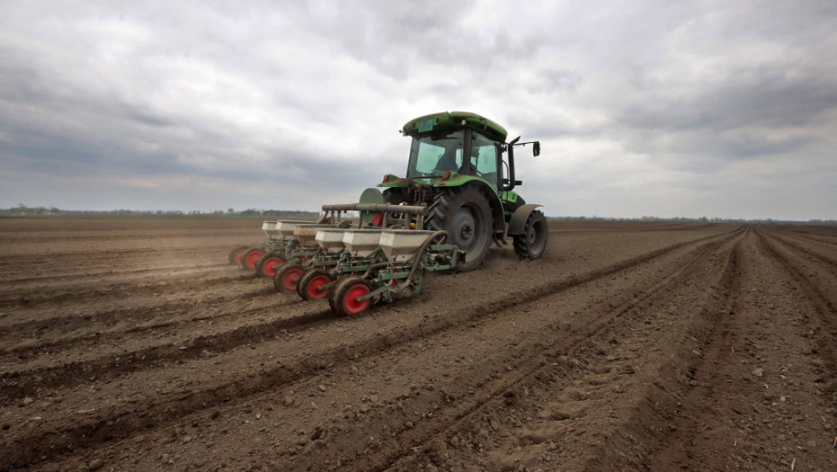Izveštaj državnih revizora o poljoprivrednom zemljištu: Svaki treći hektar državne zemlje niko ne obrađuje