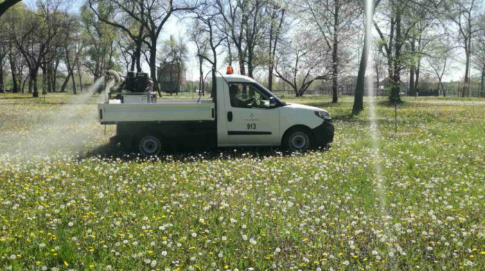 Nastavlja se suzbijanje komaraca u Beogradu, zaprašivanje sa zemlje u naseljima uz Dunav