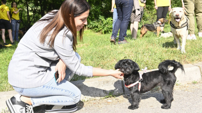 Na jesen rasprava o odgovornom vlasništvu nad životinjama