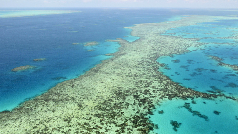 Kina se zalaže da Veliki koralni greben dospe na listu ugrožene svetske baštine, Australija tvrdi da su motivi Pekinga politički
