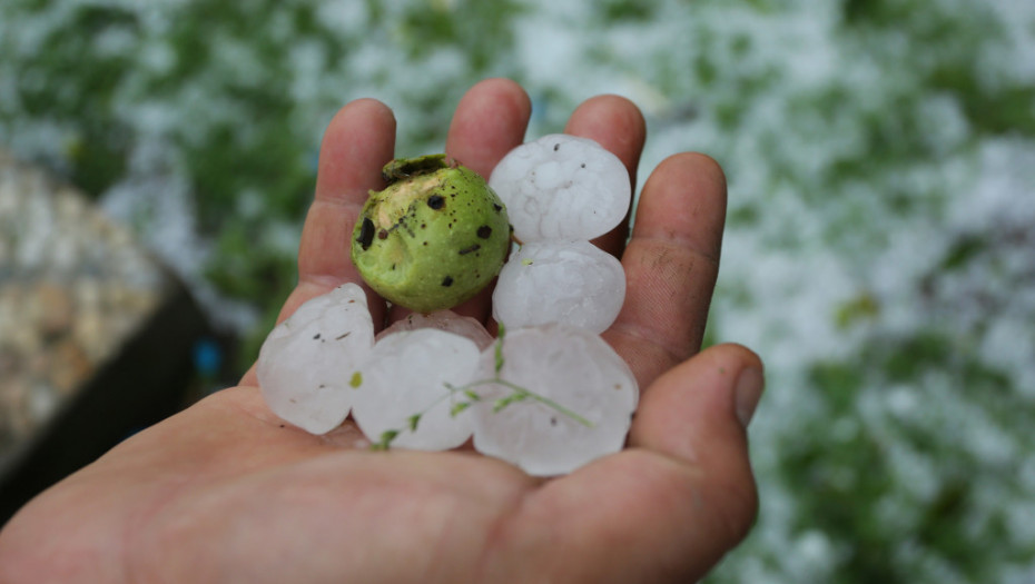 Nevreme u okolini Nove Varoši, grad veličine oraha u selu Ojkovica