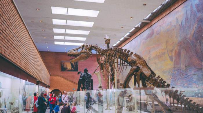 Nove tvrdnje: Dinosaurusi živeli na Arktiku, verovatno bili toplokrvni