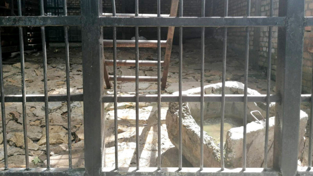 Vrt bez nade: U zoo vrtu u Jagodini na plus 40, životinje jedva dišu u skučenim kavezima