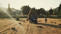 Poljoprivrednici i dalje nerado osiguravaju svoja gazdinstva, u Srbiji osigurano tek 12 do 15 odsto obradivih površina
