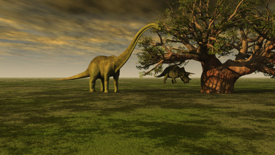 Novo otkriće: Dinosaurusi trpeli razlike u temperaturi između godišnjih doba