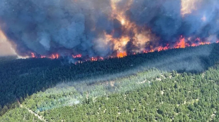 Bukte šumski požari u Kanadi: Evakuisano oko 10.000 ljudi u Kvebeku, uvedeno vanredno stanje