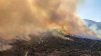 Evakuacija na Kefaloniji, vetar i visoke temperature otežavaju gašenje požara