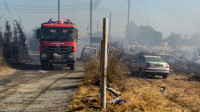 Šumski požar na Kipru van kontrole, vlasti zatražile pomoć Izraela, EU i Grčke