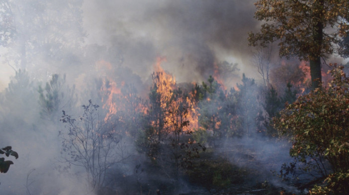 Požar na ostrvu Kefalonija stavljen pod kontrolu, evakuisana četiri naselja
