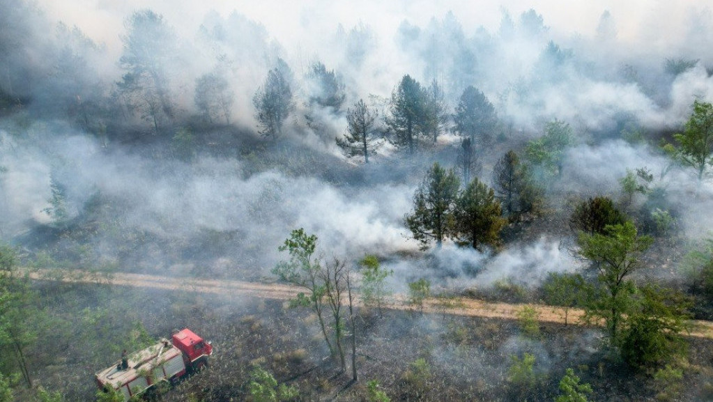 Lokalizivan požar u Radanovačkoj šumi kod Subotice, jedna osoba povređena
