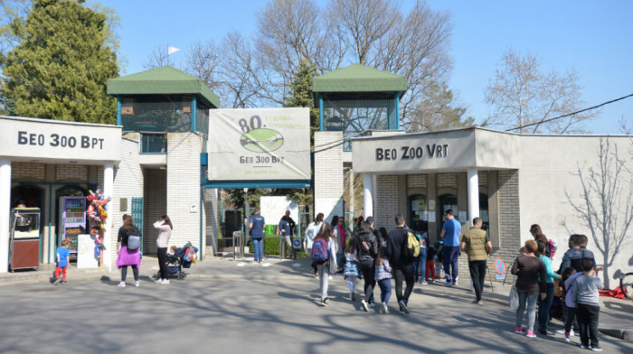 Beo zoo vrt proslavio 85. rođendan, bebe binturonga postale prava atrakcija