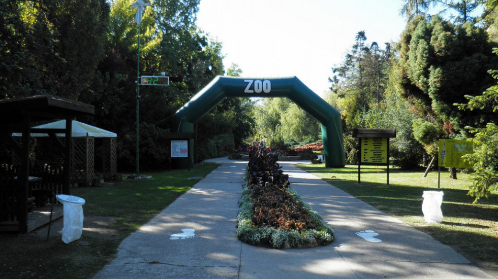 Šta se događa u Zoo vrtu na Paliću? Deo zaposlenih upozorava na pomor životinja, uprava demantuje