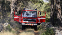 Veliki požar uz državni put u Hrvatskoj: Gori trava na prostoru dugačkom četiri kilometra, vatrogasne ekipe na terenu