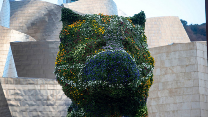 Muzej Gugenhajm Bilbao traži 100.000 evra za obnovu "Psa" Džefa Kunsa
