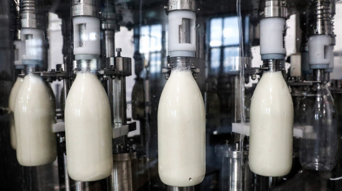 Udruženje proizvođača: Državne subvencije doprinele da mleko ne poskupi, ali i dalje poslujemo sa gubitkom