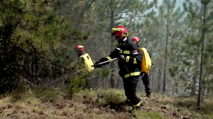 Veći požar zahvatio šumu kod Nove Varoši