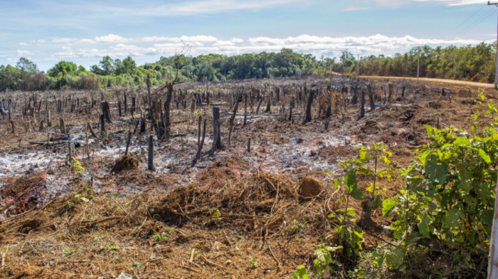 Ugrožena "pluća sveta", prašume Amazonije emituju više CO2 nego što apsorbuju