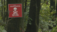 Fruška Gora minsko polje već 30 godina: Kod sela Ležimir osvanule table upozorenja, objašnjenja ko je postavljao eksplozive - nema