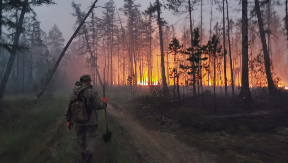 Gori više od 300 hektara šuma, ruski vatrogasci gase 147 šumskih požara