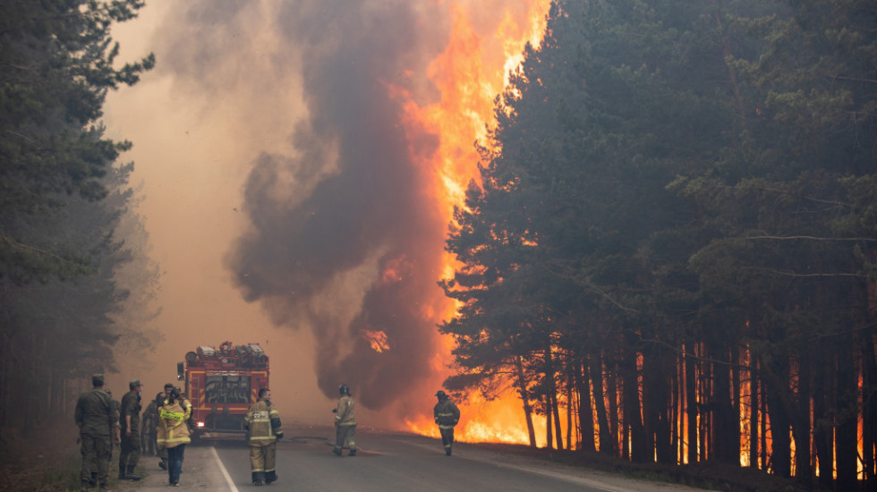 Grinpis: Požari u Sibiru su najveći u istoriji Rusije, vatra uništila 18,16 miliona hektara šume