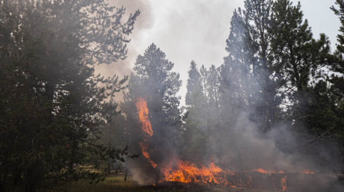 Požari širom Sjedinjenih Američkih Država, izgorelo 553.000 hektara zemlje