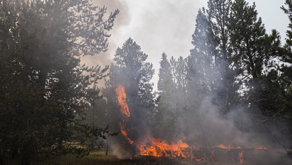 Požari širom Sjedinjenih Američkih Država, izgorelo 553.000 hektara zemlje