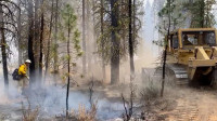 Kalifornija: Požari spalili površinu od 400.000 hektara