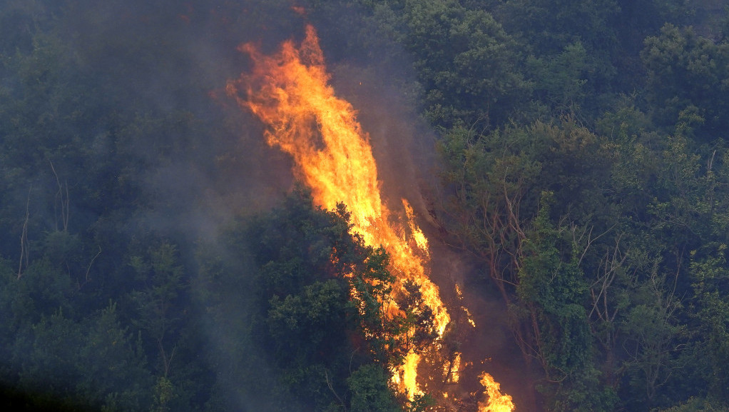 Avioni gase požare na jugu Francuske - vatrena stihija dovela do nestanka struje i u delovima Španije i Portugala
