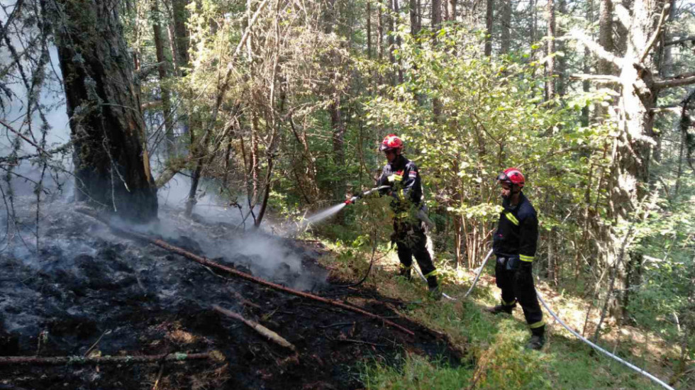 Požar na Divčabarama, gori hektar šume, vatrogasci lokalizovali samo deo