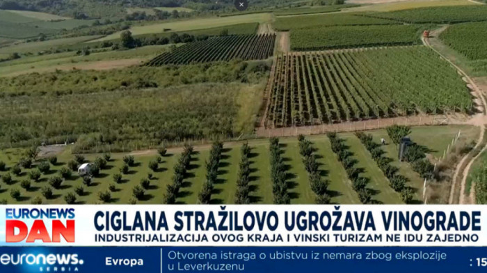 Karlovački vinari se plaše da im ciglana ugrožava vinograde, vlasnici fabrike kažu da emisije štetnih materija nisu prekoračene