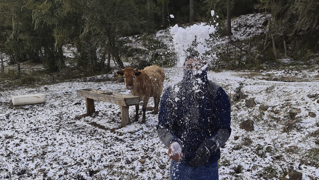 Istorijski sneg na jugu Brazila - stanovnici 13 gradova slavili na ulicama i pravili Sneška Belića