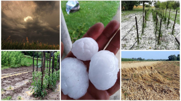 Kiša, grad, oluje, pa tropske temperature: Može li se poljoprivreda izboriti sa ovakvom klimom?